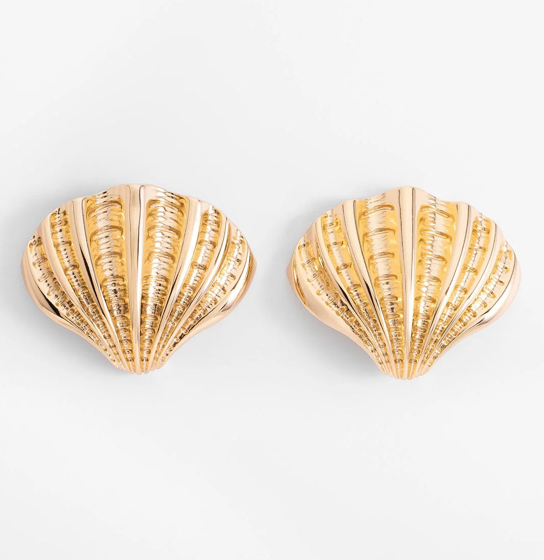 18K Gold Plated Seashell Stud Earrings