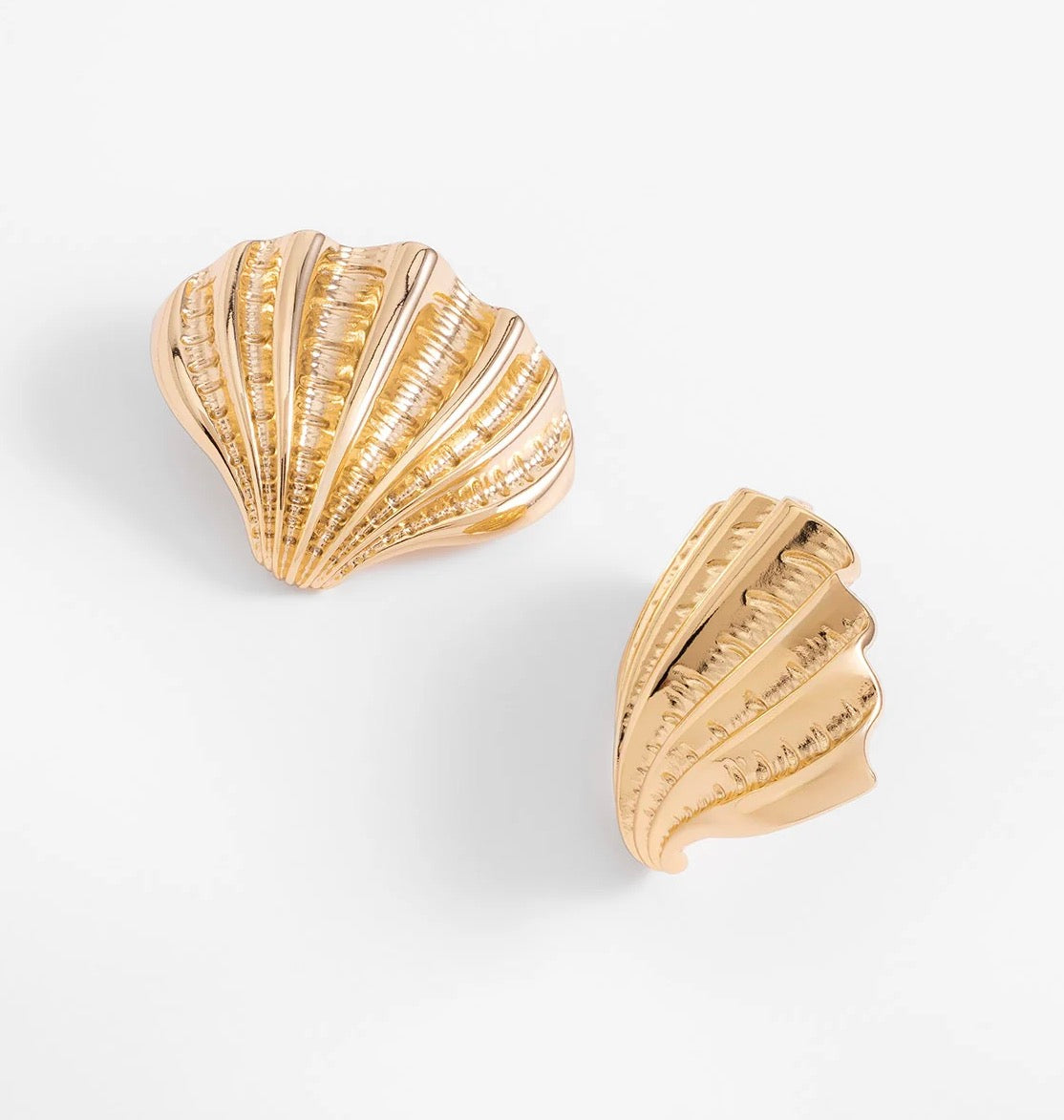 18K Gold Plated Seashell Stud Earrings